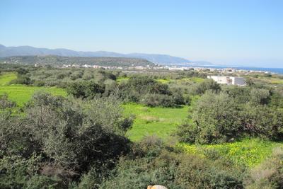 Недвижимость на о.Крит . Участок за городом площадью 4000 кв.м.